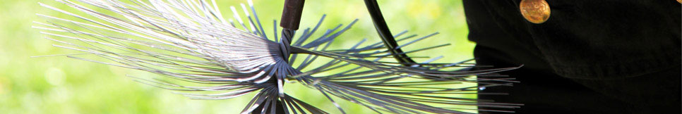 Banner - Michael Kroll